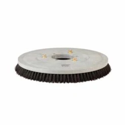 20" Standard Medium Poly Bristle Floor Scrubbing Brush (#1016811) For The Tennant® T300e Auto Scrubber