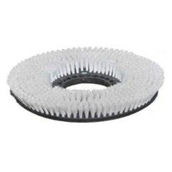 17" Floor Scrubbing Brush For The Tornado® 'BD 17/6' Auto Scrubber